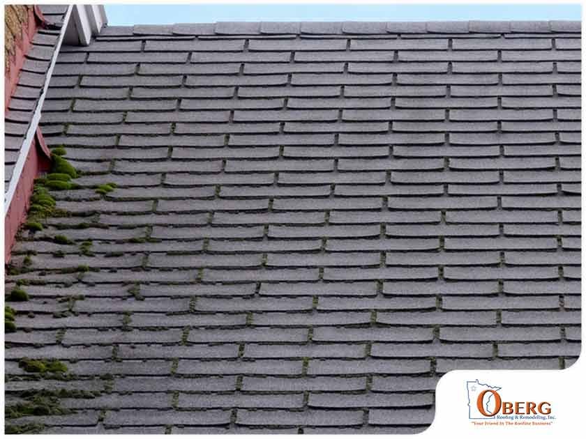 3eeba20734695d30cdbfbaee594806ef2b340270-815-obergroofing1